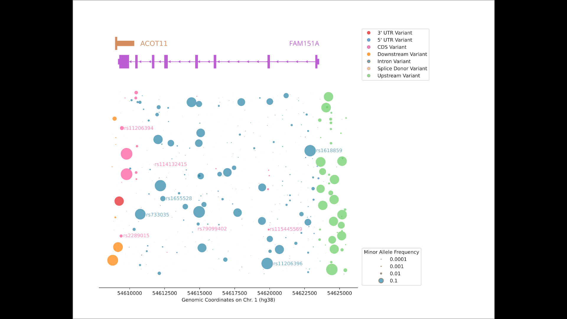 SNP plot of FAM151A