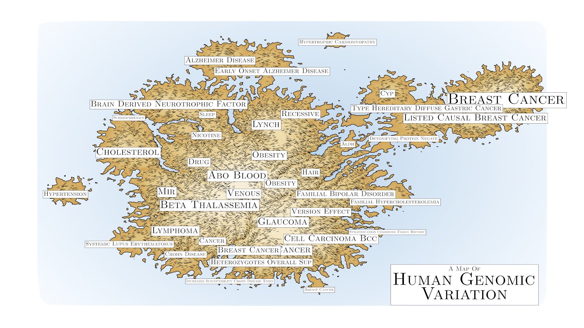 Human Genome Map