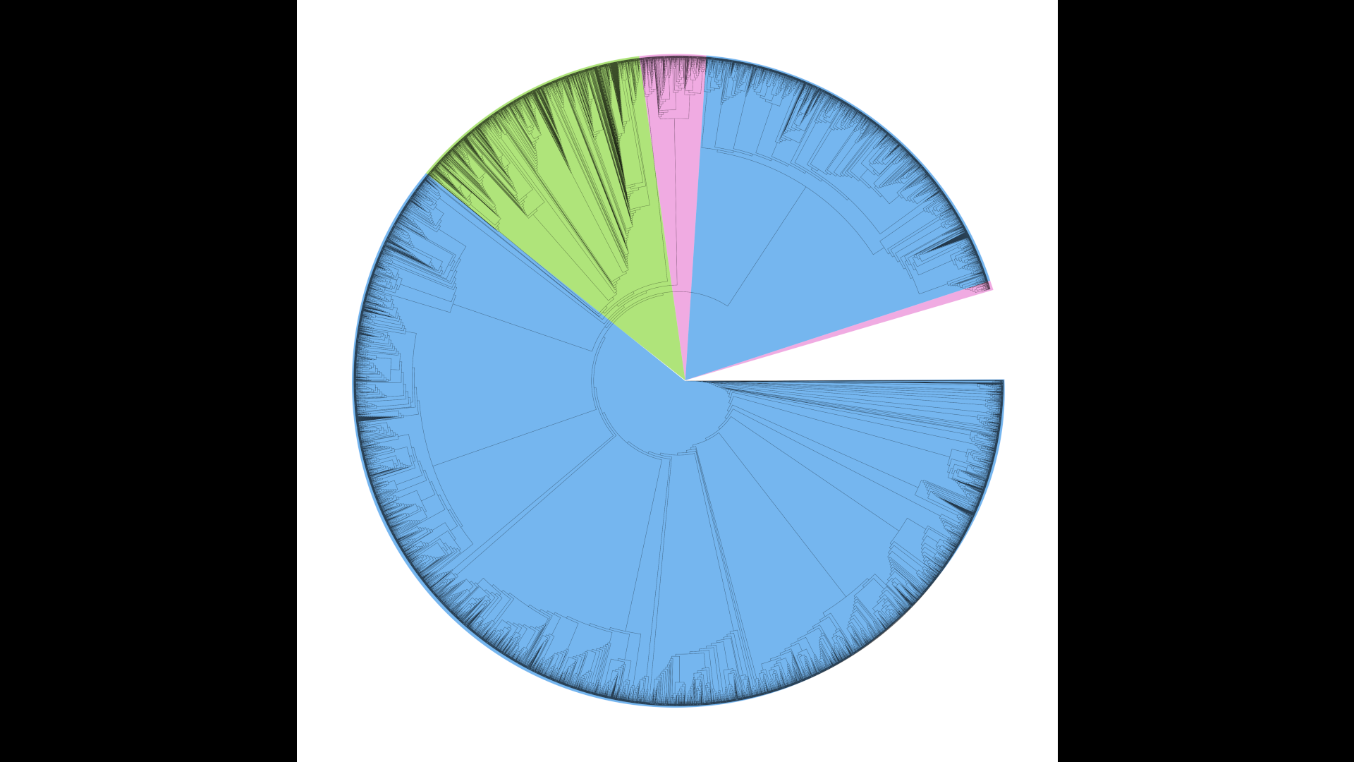 Phylogenetic tree of life